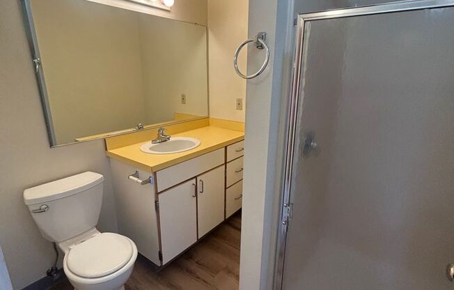 1 bed, 1 bath, $1,295, Unit 118