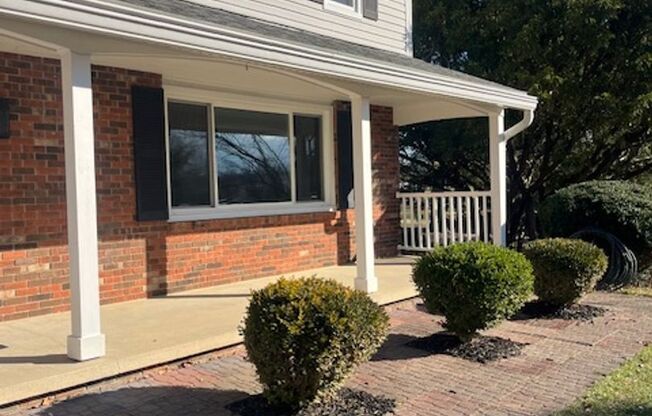 Spacious, Fully Updated Home with Walkout Basement on a Mature Lot