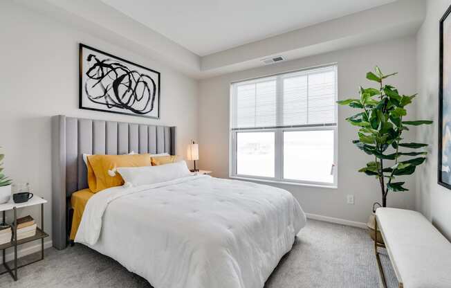 Bedroom Featuring Plush Carpet & Double Windows