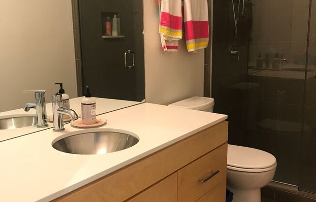 Studio, 1 bath, 637 sqft, $1,150, Unit 207