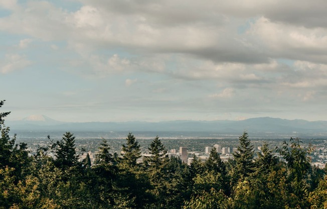 a view of the city through the trees