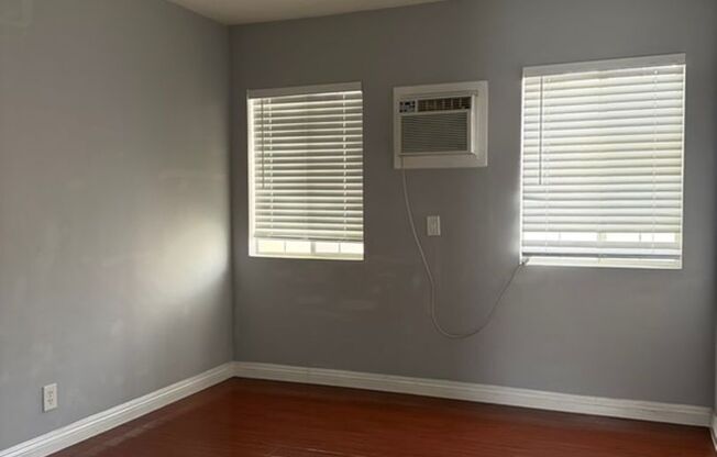 Jaguar Chan - R729-1617