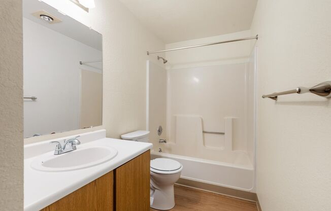 Studio, 1 bath, 504 sqft, $1,495, Unit 115