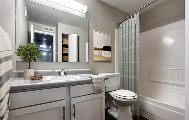 A bathroom with a toilet, sink, and mirror.