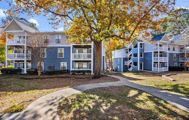 A tree with yellow leaves is in front of a building.