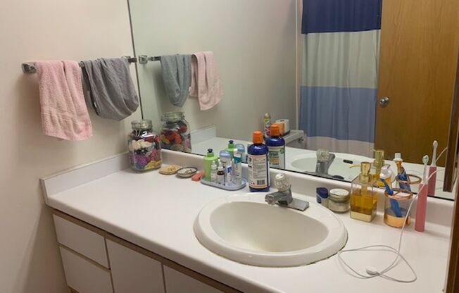 1 bed, 1 bath, $1,545