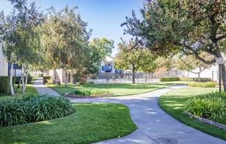 A tree-lined walkway curves through a well-kept park.