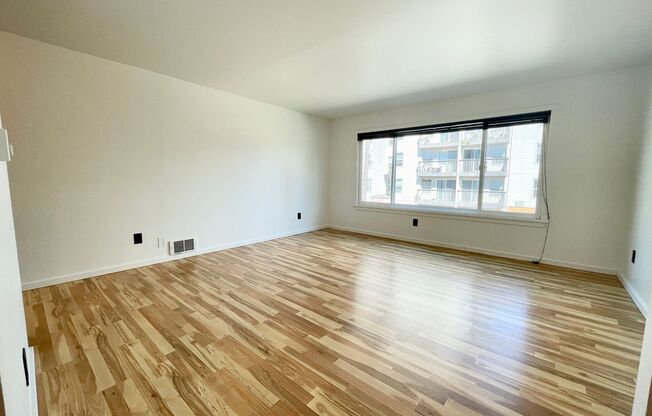 Studio, 1 bath, 464 sqft, $1,450, Unit 207