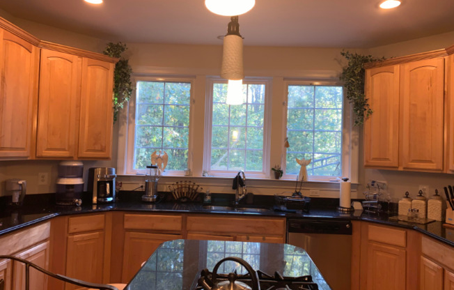 11111 CASKADILLA LN