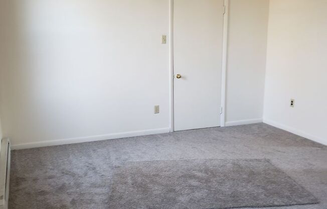 1 bed, 1 bath, $800, Unit Apt. 1