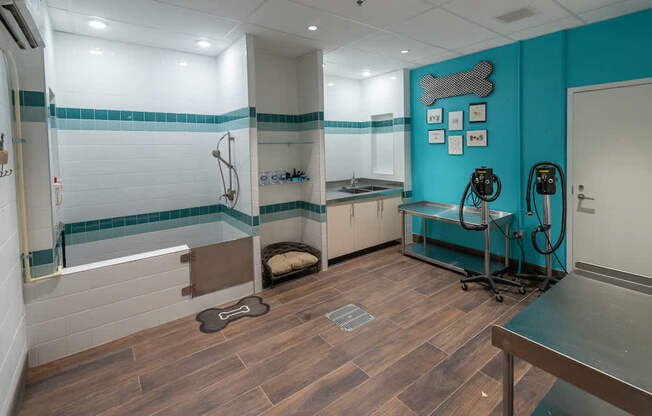 Pet Spa and Pampering Station at The Pearl, Silver Spring