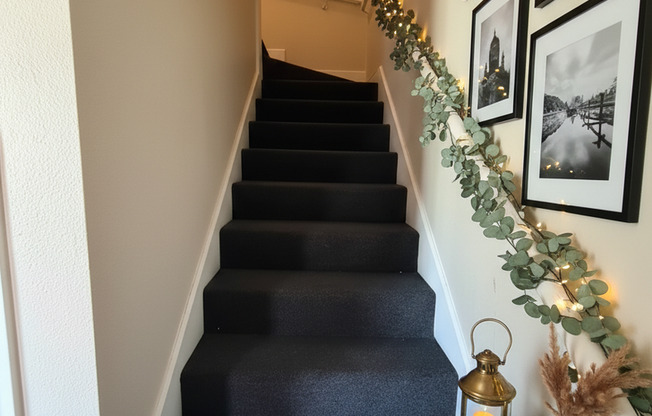 514_Three Spadesiders