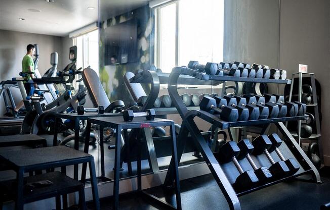 A gym with a variety of equipment including treadmills, weights, and benches.