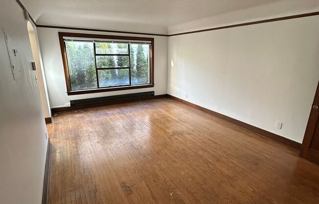 Studio, 1 bath, 429 sqft, $1,245, Unit Unit 204