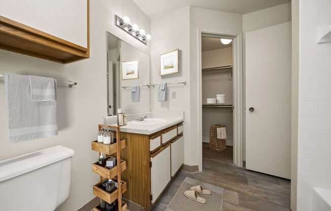 Bathroom With Wood-Style Flooring