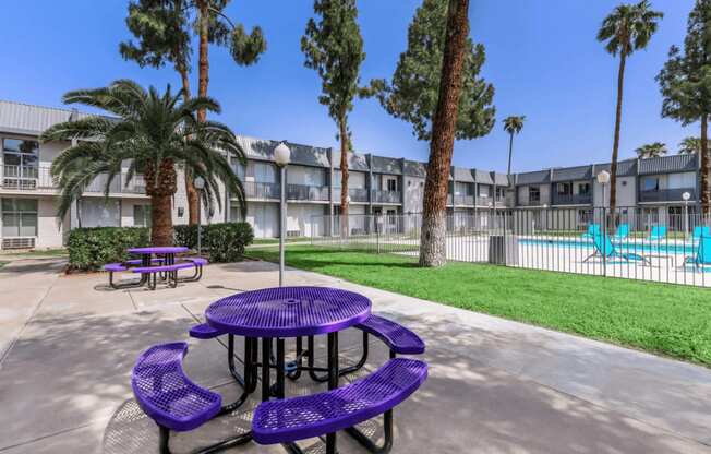 Purple picnic tables are surrounded by palm trees and a pool.