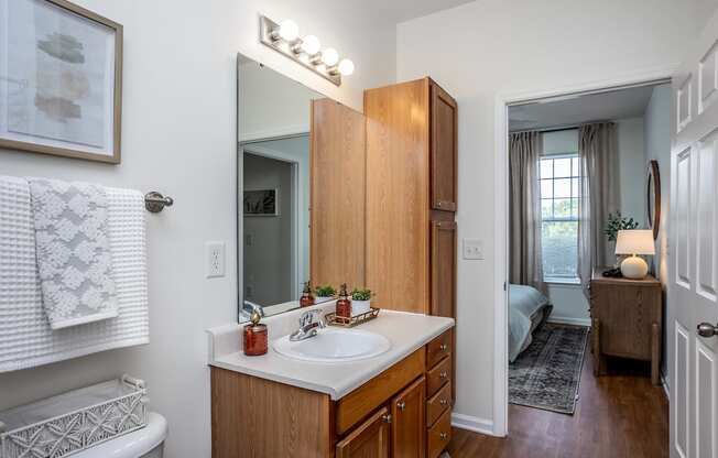 a bathroom with a sink and a mirror