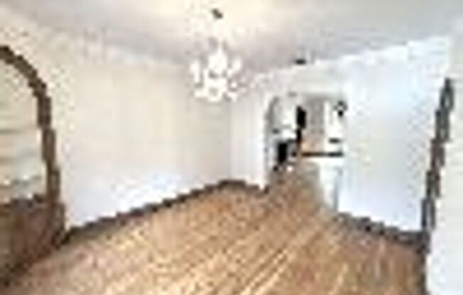 3319 Pine Street Unit 7