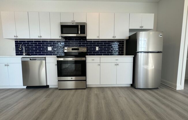 1600 West Hunting Park - Residential