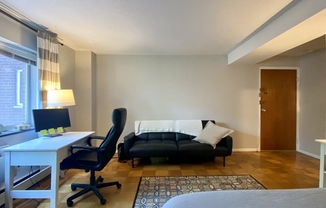 Studio, 1 bath, 390 sqft, $2,100, Unit 45