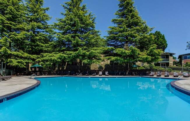 Sparkling Swimming Pool at Commons at Timber Creek Apartments, Portland, Oregon