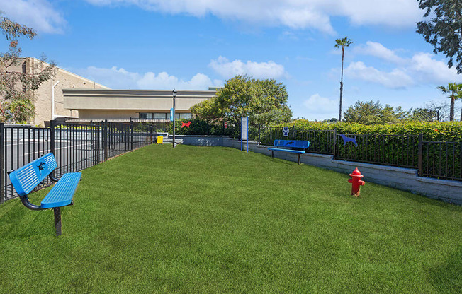 Community Dog Park with Agility Equipment at Colonnade at Fletcher Hills Apartments in El Cajon, CA.