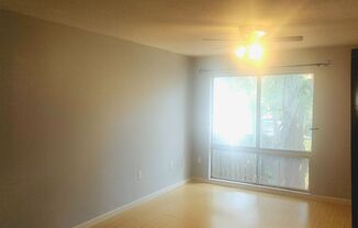 1 bed, 1 bath, $995, Unit APARTMENT P28