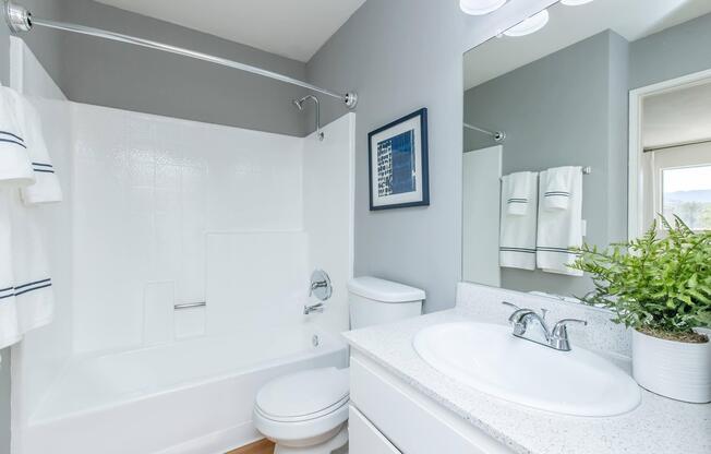 A modern bathroom featuring a white bathtub with a chrome shower rod, a toilet, and a sink with a light countertop. Clean towels hang on a bar, and a small potted plant sits next to the sink. The walls are painted gray, and a framed picture is mounted above the bathtub. Natural light brightens the space.