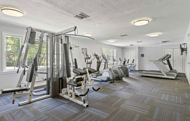 the gym is equipped with a slew of weights and cardio equipment