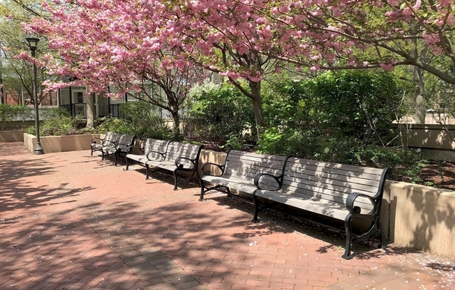 1 bed, 1 bath, 879 sqft, $3,250, Unit 7J