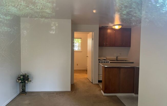 1 bed, 1 bath, 450 sqft, $1,195, Unit 710.5