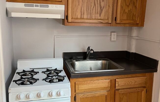 Studio, 1 bath, 330 sqft, $925, Unit 203