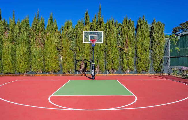 Basketball court with nice landscape background.