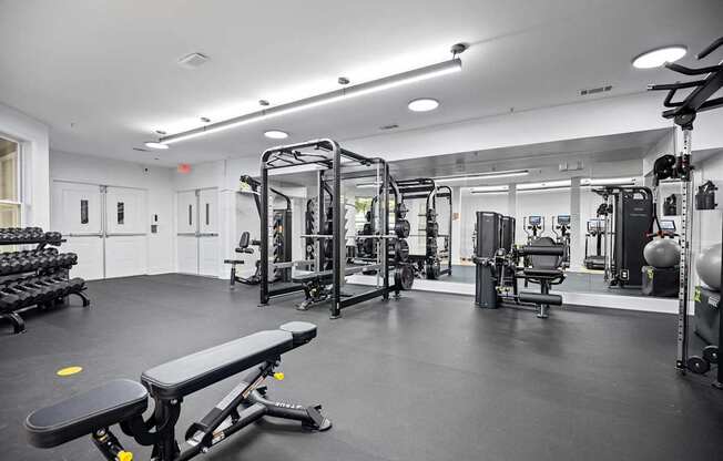 A gym with a variety of equipment including a bench, weights, and a squat rack.