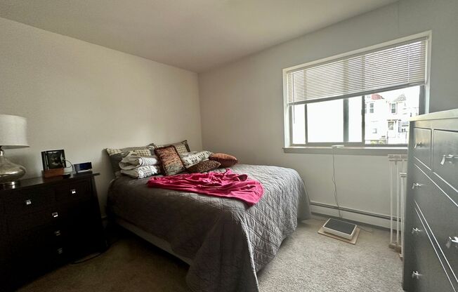 1 bed, 1 bath, $1,095, Unit 109