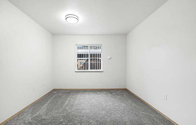 A room with a window and a carpeted floor.