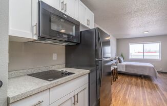 Studio, 1 bath, 450 sqft, $795, Unit Unit 206