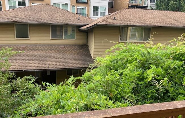 Studio, 1 bath, 137 sqft, $1,315, Unit 7A