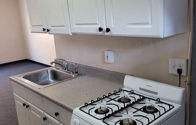 Studio, 1 bath, $795, Unit 107