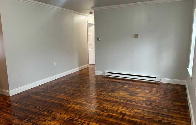 Newly Renovated Apt For Rent - Attached Storage Unit Included!