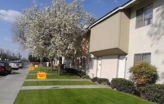 2 beds, 1.5 baths, 970 sqft, $1,225