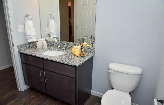 a bathroom with a toilet and a sink and a mirror