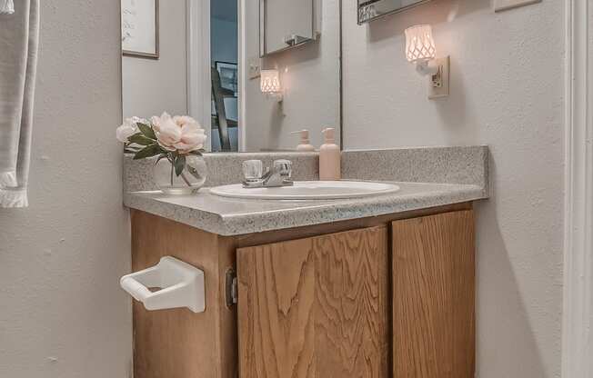 Bathroom Vanity & Light Grey Walls