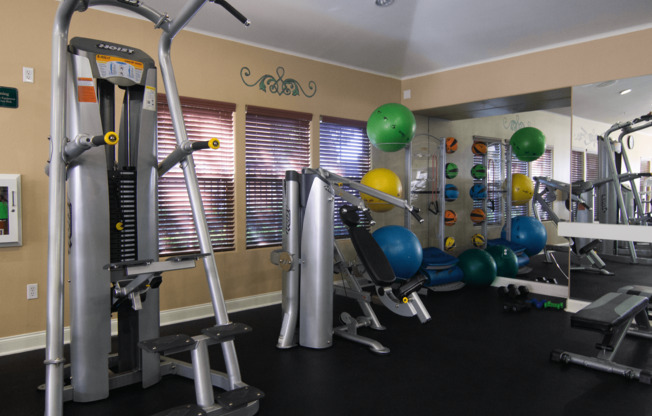 A gym with a variety of equipment including treadmills, weights, and exercise balls.,A gym with a variety of equipment including treadmills, weights, and exercise balls.
