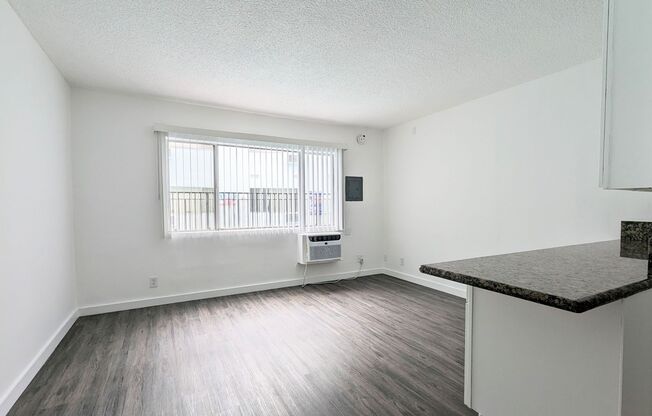 Studio, 1 bath, 263 sqft, $1,299, Unit 105