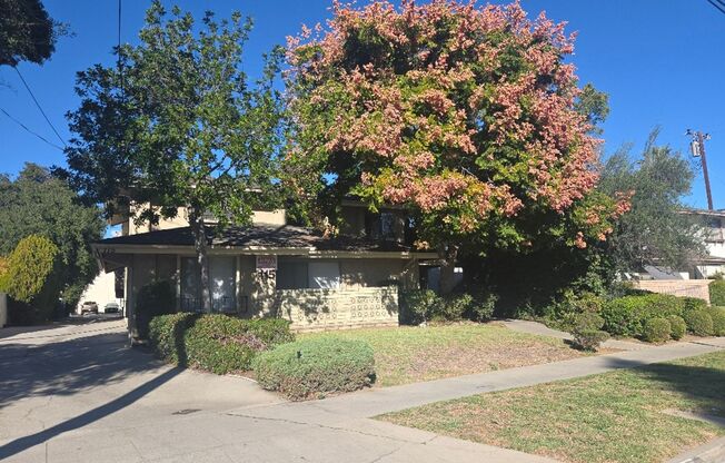 Live Oak St. Apartments