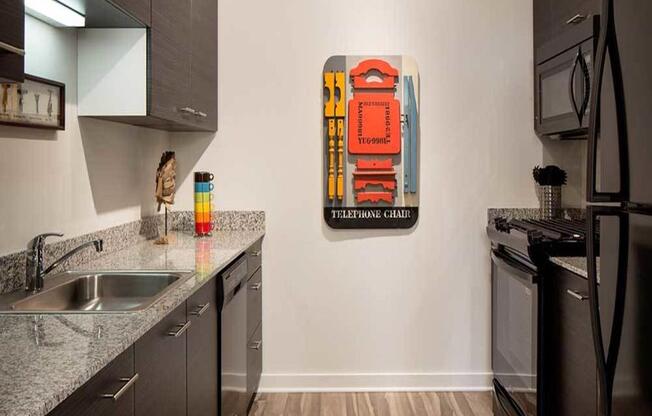 Kitchen Applicances at Eight O Five Apartments Chicago Ebony Kitchen Cabinets Granite Counters Black Appliances