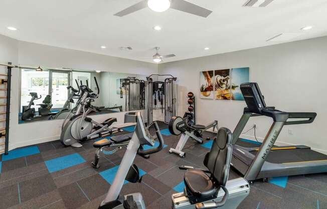 the gym in the owners home is equipped with cardio equipment and weights