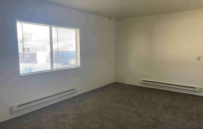 2 beds, 1 bath, 700 sqft, $1,100, Unit 9