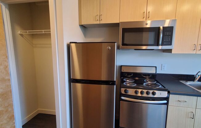 Studio, 1 bath, 248 sqft, $1,495, Unit 302
